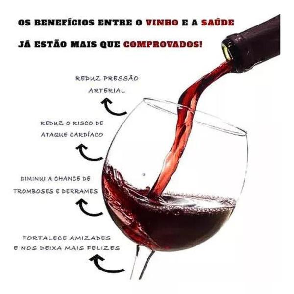 Imagem de Vinho Argentino Chac Chac Malbec Mendoza 750ml Tinto Seco 