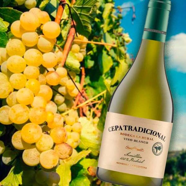 Imagem de Vinho branco seco Semillon - Cepa Tradicional 750 ML