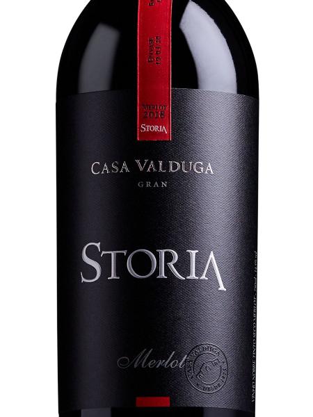 Imagem de Vinho casa valduga gran storia merlot tinto 750ml