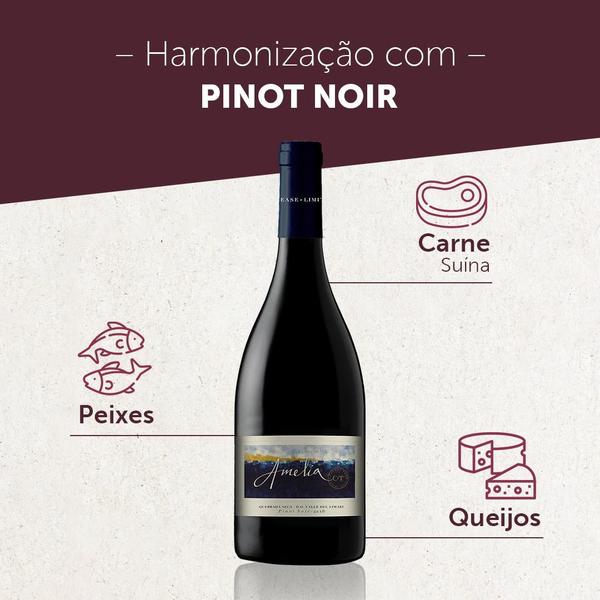 Imagem de Vinho Chileno Amelia Pinot Noir - 750ML