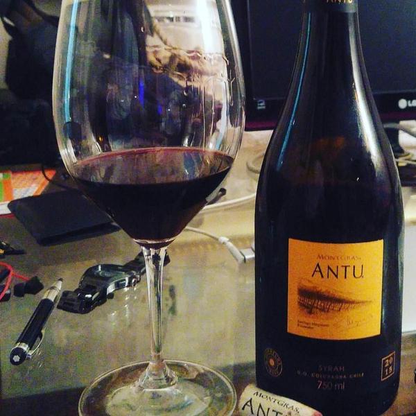 Imagem de Vinho Chileno Tinto Syrah Montgras Antu 750Ml