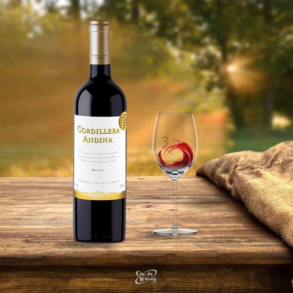 Imagem de Vinho cordillera andina merlot 750ml