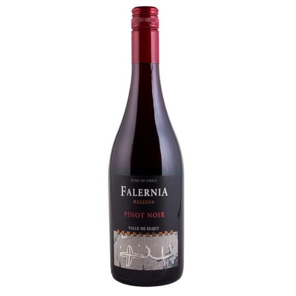 Imagem de Vinho falernia reserva pinot noir 750 ml