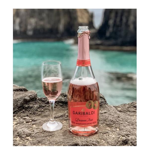 Imagem de Vinho garibaldi pinot noir rose