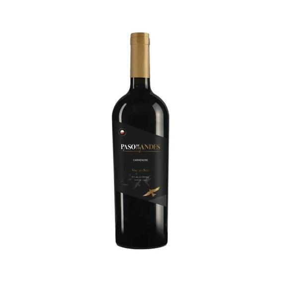 Imagem de Vinho Paso de Los Andes Carmenere Chileno 750ml