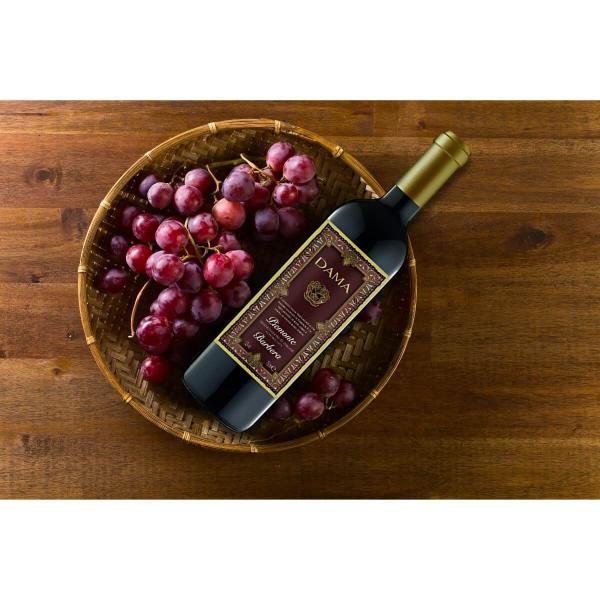 Imagem de Vinho piemonte barbera doc dama 750ml