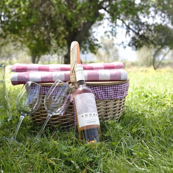 Vinho Rose Reserva Emiliana Adobe Chile 750ml (6 Unidades) Imagem de Vinho Rose Reserva Emiliana Adobe Chile 750ml (6 Unidades)