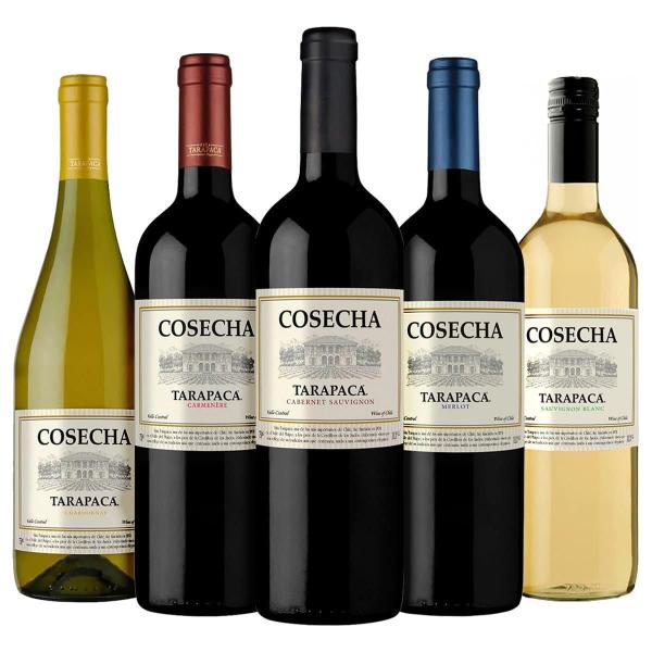 Vinho Tarapacá Linha Cosecha Chileno Tinto Branco 750ml - Tarapaca Imagem de Vinho Tarapacá Linha Cosecha Chileno Tinto Branco 750ml