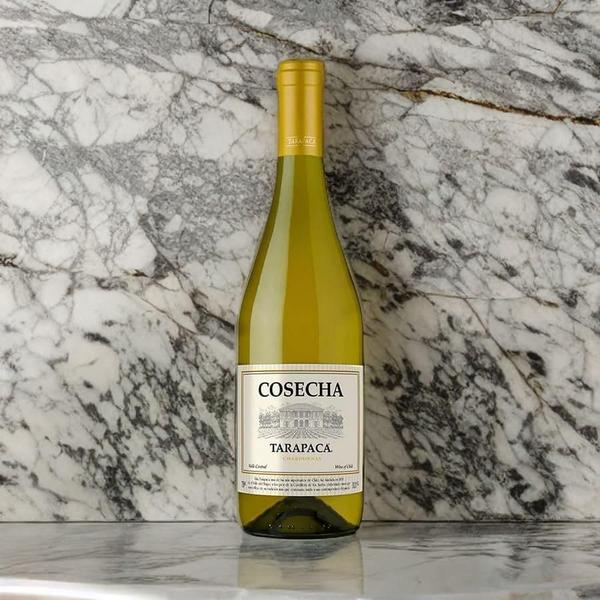 Vinho Tarapacá Linha Cosecha Chileno Tinto Branco 750ml - Tarapaca Imagem de Vinho Tarapacá Linha Cosecha Chileno Tinto Branco 750ml