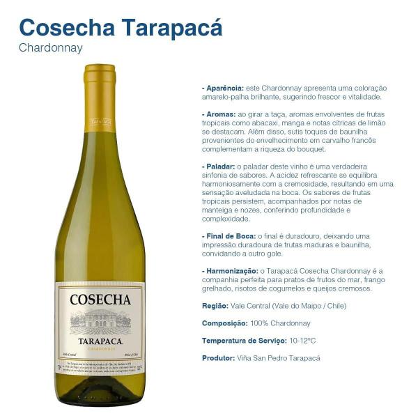 Vinho Tarapacá Linha Cosecha Chileno Tinto Branco 750ml - Tarapaca Imagem de Vinho Tarapacá Linha Cosecha Chileno Tinto Branco 750ml