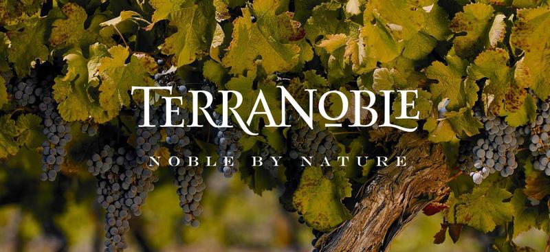 Imagem de Vinho Terranoble Carmenere CA1 Andes