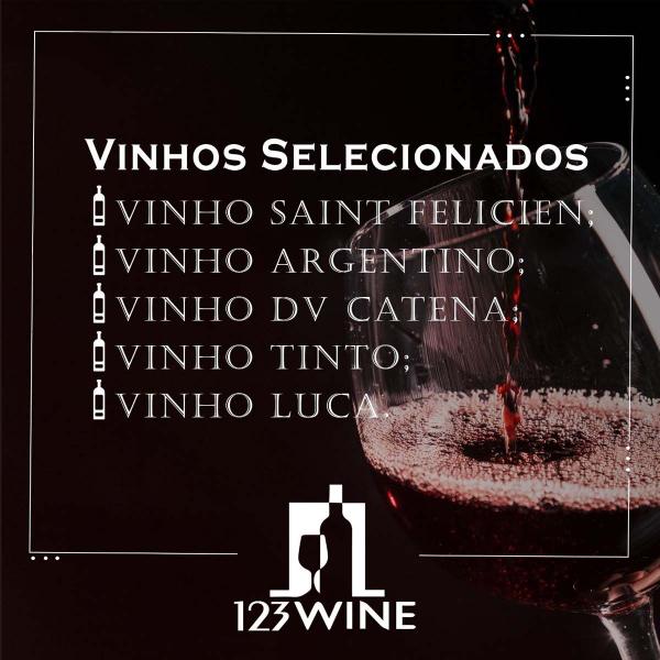 Imagem de Vinho Tinto Argentino Alamos Malbec 750ml