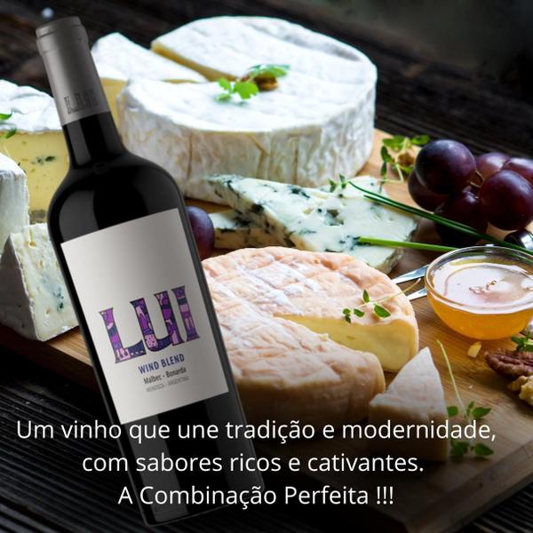 Imagem de Vinho Tinto Argentino LUI Wind Blend Malbec Bonarda 750 ml Mendoza