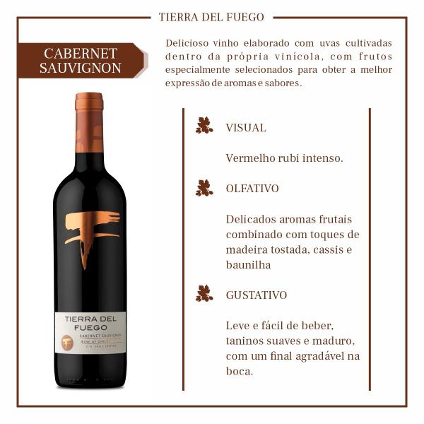 Imagem de Vinho Tinto Chileno Tierra del Fuego Cabernet Sauvignon Clássico 750ml