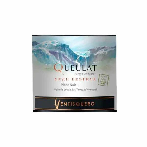 Imagem de Vinho Tinto Queulat Gran Reserva Pinot Noir 750ml Kit 4 Garrafas