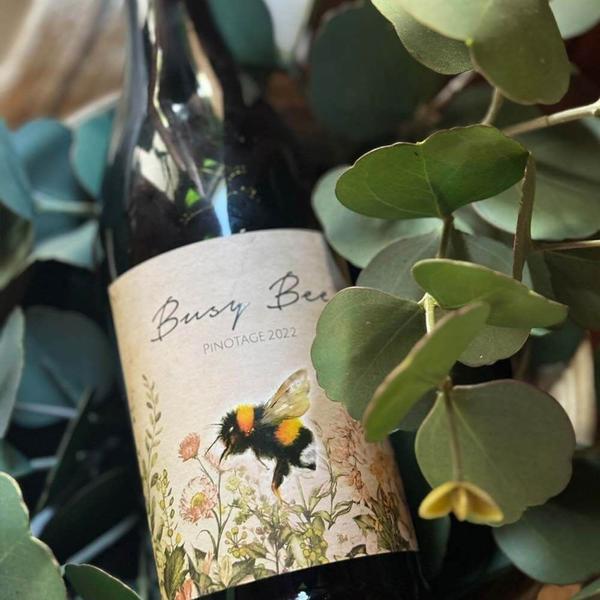 Imagem de Vinho tinto seco Busy Bee Pinotage 2022 - Swartland - 750ml