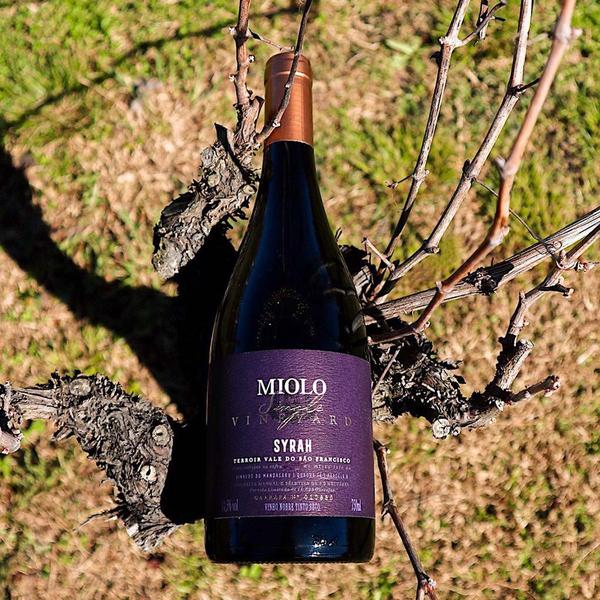 Imagem de Vinho Tinto Seco Miolo Single Vineyard Syrah 750ml