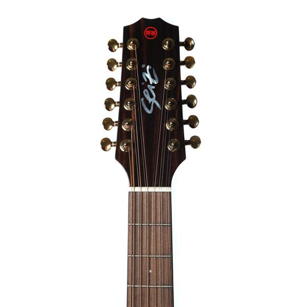 Imagem de Violão Elétrico 12C Supreme Godzilla Gold Mahogany Gloss