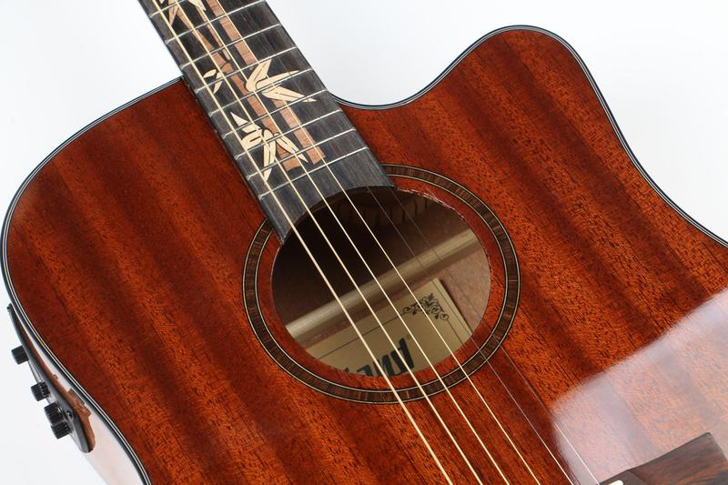 Imagem de Violão land eletrico aço varnish mahogany l-825b   capa