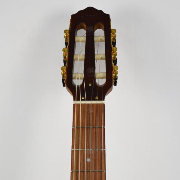 Violão Nylon Giannini Elétrico Stage Sucupira STN SUC CEQ NS Imagem de Violão Nylon Giannini Elétrico Stage Sucupira STN SUC CEQ NS