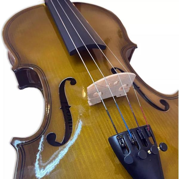 Imagem de Violino Dominante 4/4 Especial Completo Com Estojo