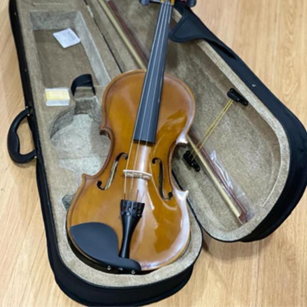 Imagem de Violino Dominante 4/4 Especial Completo Com Estojo