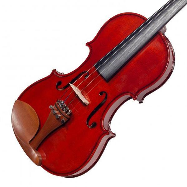 Imagem de Violino vnm146 4/4 envernizado - michael