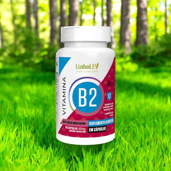 Imagem de Vitamina B2 400mg 3 X 60 Cápsulas - Linho Lev