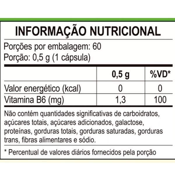 Imagem de Vitamina B6 Piridoxina Vegana 60 caps 500mg