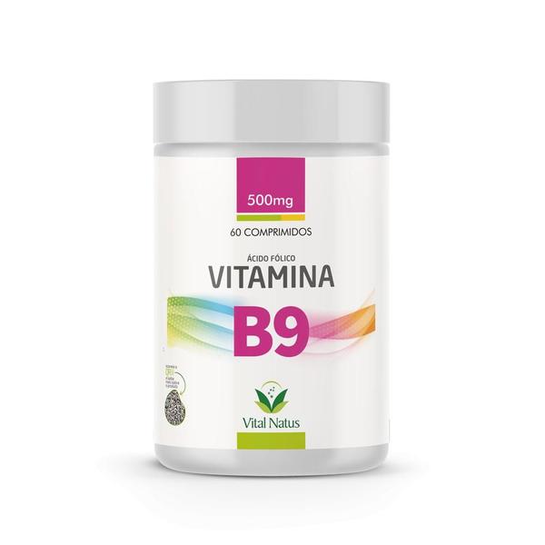 Imagem de Vitamina B9 500mg - 60 Caps - Vital Natus