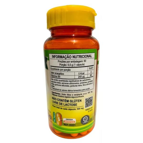 Imagem de Vitamina B9 Ácido Fólico 60 cápsulas de 500mg Kit com 3