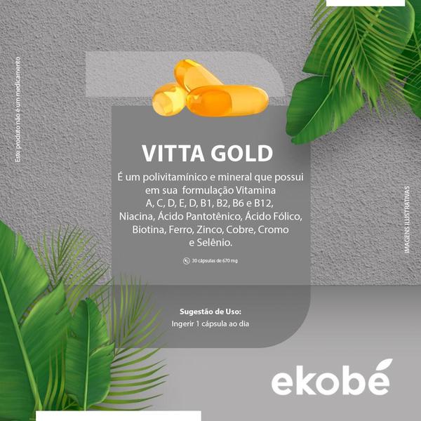 Imagem de Vitta Gold Premium Suplemento Uso Diário 30 Cápsulas