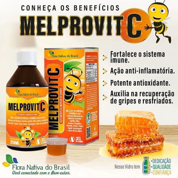 Imagem de Xarope Melprovit C Composto 120ml Flora Nativa Do Brasil