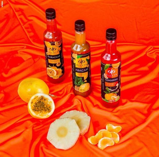 Xarope Para Soda Italiana Dilute Premiun 500ml Essências Para Gin Original - Dilutes Imagem de Xarope Para Soda Italiana Dilute Premiun 500ml Essências Para Gin Original