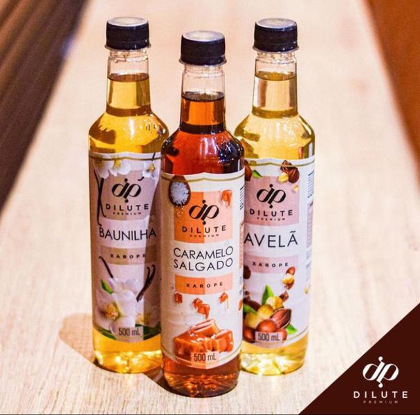 Xarope Para Soda Italiana Dilute Premiun 500ml Essências Para Gin Original - Dilutes Imagem de Xarope Para Soda Italiana Dilute Premiun 500ml Essências Para Gin Original