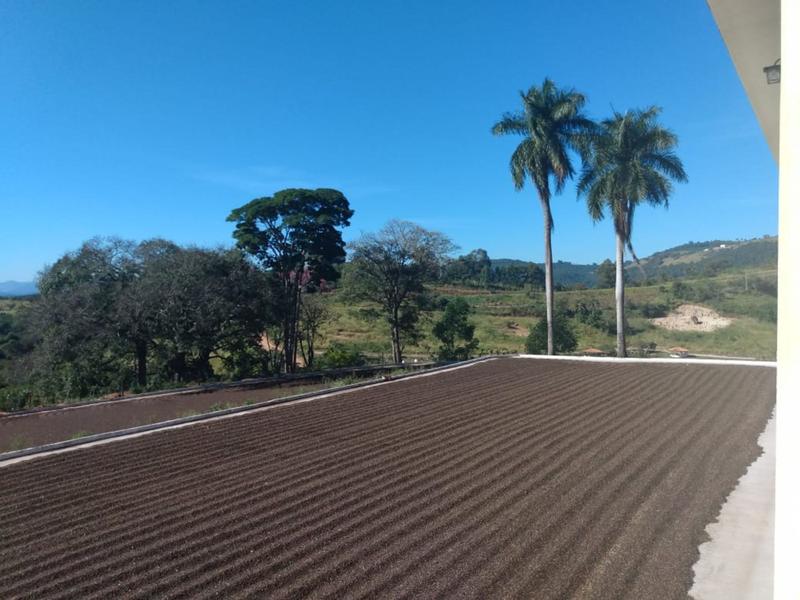 Zaro Café Especial Moderado em Grãos 500g Imagem de Zaro Café Especial Moderado em Grãos 500g