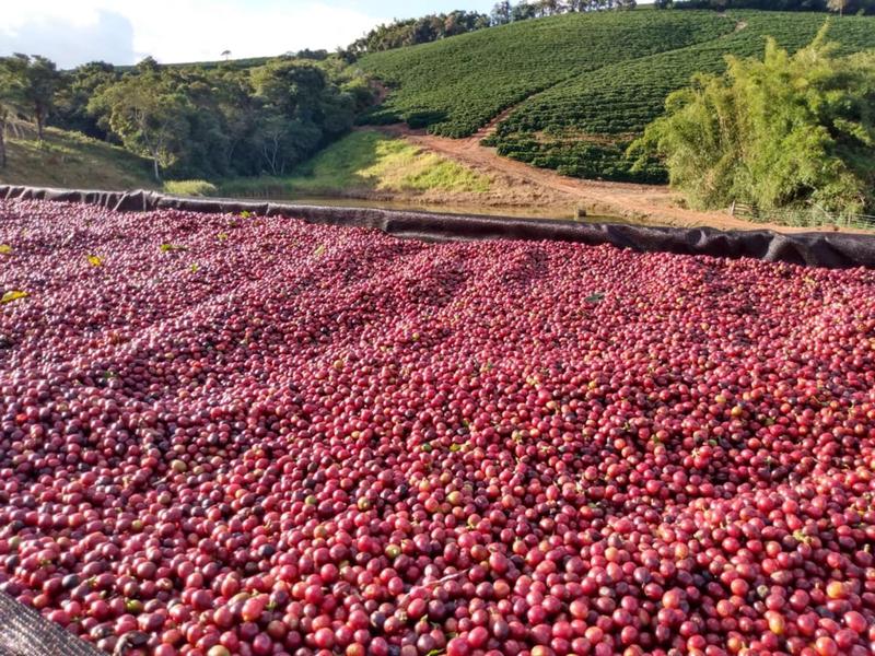 Imagem de Zaro Café Especial Moderado Moído 250g