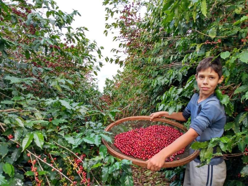 Imagem de Zaro Café Reserva Especial em Grãos 250g