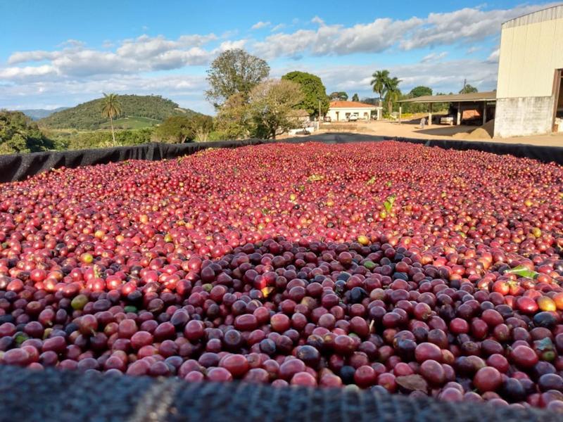 Imagem de Zaro Café Reserva Especial em Grãos 250g