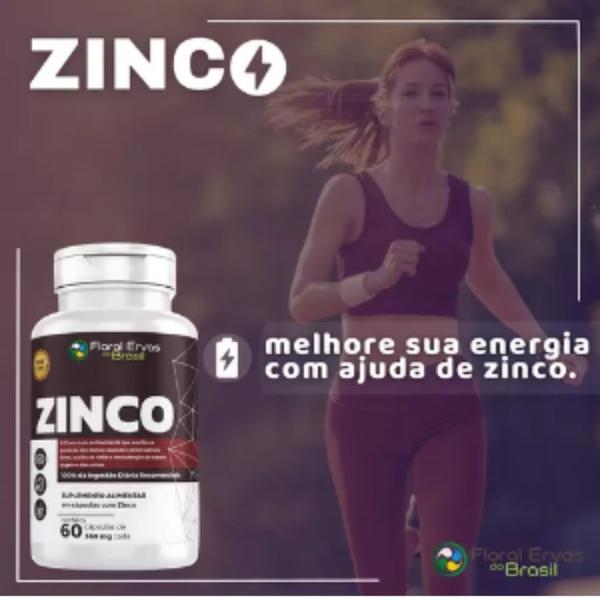 Imagem de Zinco 60 Cáps - Floral Ervas