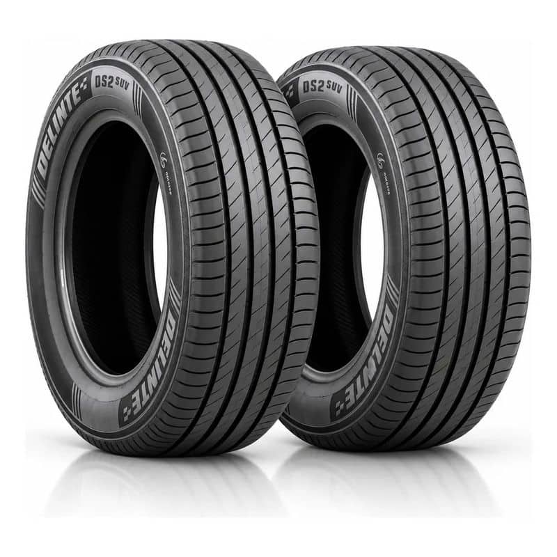 Kit 2 Pneus Delinte Aro 15 195/60R15 88V DS2