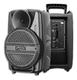 Caixa De Som 8 Polegadas Ativa Bluetooth Mv8 S Master Voice