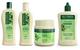 Kit Antiqueda Jaborandi Shampoo, Condicion, Máscara e Tônico