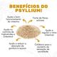 Psyllium Fibra Alimentar 100% Pura Pacote 1 Kg Total Food