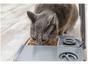 Alimentador Eletrônico para Animais PetSafe - Eatwell Lite