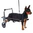 Cadeira De Rodas Para Cachorro de Porte Mini PP Regulável Pet Best Soluções