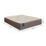 Cama Box Casal Colchão De Espuma D33 Semi Ortopédico Extra Firme Orthotec 138x188x68cm Inducol Marrom