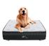 Caminha Box Pet Para Cachorros E Gatos + Lençol Impermeável 100x100cm - BF