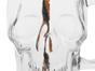 Caneca de Vidro 450ml Lyor - Caveira Rock Style 2 Peças