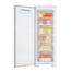 Freezer Vertical Electrolux Cycle Defrost 173L  Uma Porta (FE22)